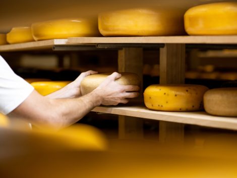 consommation de casu marzu