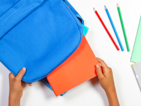 organiser-sac