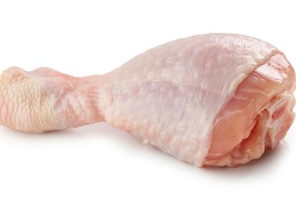fresh raw chicken leg