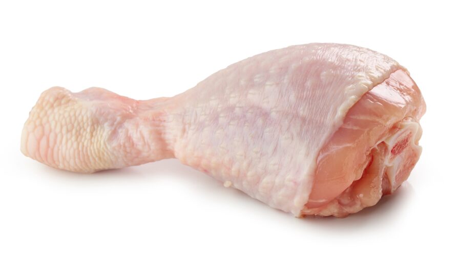fresh raw chicken leg