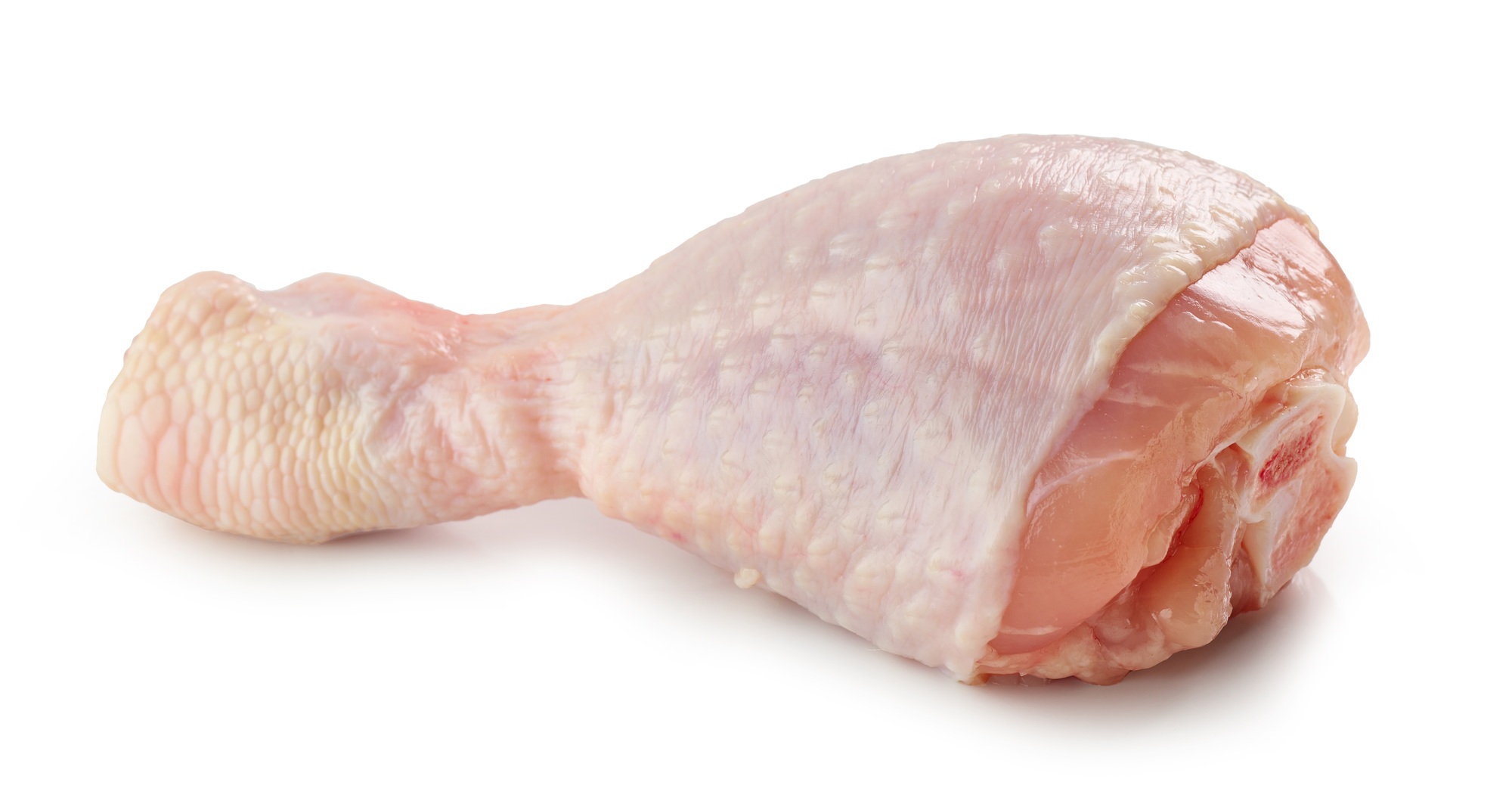 fresh raw chicken leg