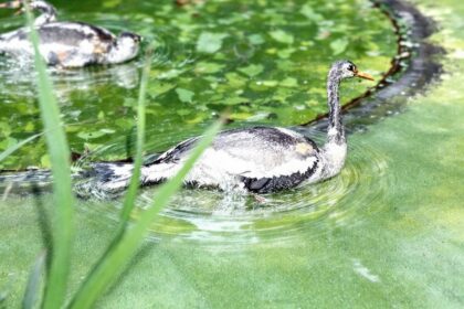 découvrez les meilleurs sites de locations de vacances à sisteron pour un séjour inoubliable. trouvez votre hébergement idéal grâce à notre guide complet et profitez pleinement de cette charmante destination.
