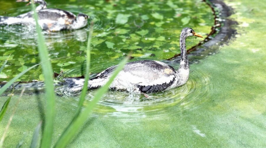 découvrez les meilleurs sites de locations de vacances à sisteron pour un séjour inoubliable. trouvez votre hébergement idéal grâce à notre guide complet et profitez pleinement de cette charmante destination.
