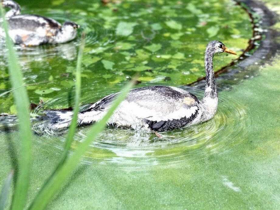 découvrez les meilleurs sites de locations de vacances à sisteron pour un séjour inoubliable. trouvez votre hébergement idéal grâce à notre guide complet et profitez pleinement de cette charmante destination.