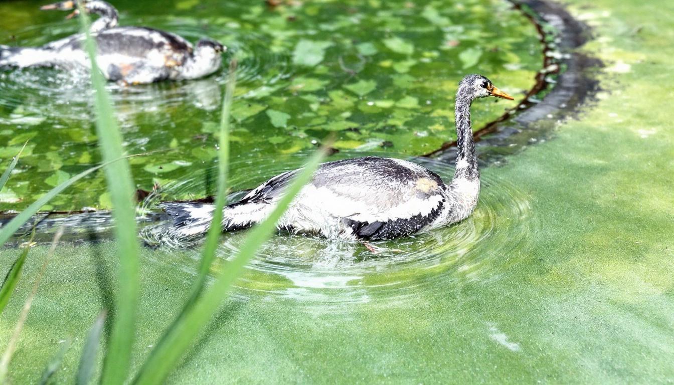 découvrez les meilleurs sites de locations de vacances à sisteron pour un séjour inoubliable. trouvez votre hébergement idéal grâce à notre guide complet et profitez pleinement de cette charmante destination.
