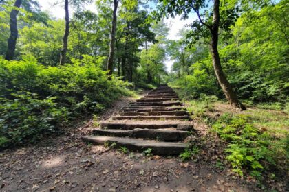 découvrez comment créer votre propre blason personnel grâce à ce guide pratique alliant tradition et créativité pour un symbole unique et significatif.