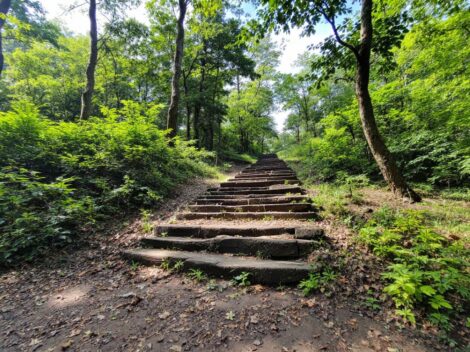 découvrez comment créer votre propre blason personnel grâce à ce guide pratique alliant tradition et créativité pour un symbole unique et significatif.