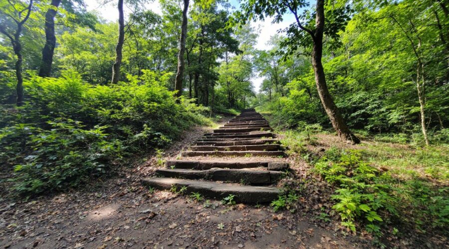 découvrez comment créer votre propre blason personnel grâce à ce guide pratique alliant tradition et créativité pour un symbole unique et significatif.